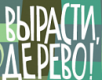 Вырасти, Дерево!