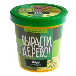 Вырасти дерево: Кедр сибирский картинка 326608 - МосИгра