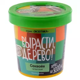 Вырасти дерево: Секвойя картинка 327805 - МосИгра