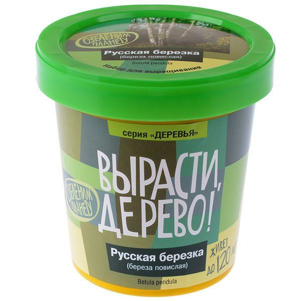 

Вырасти дерево: Русская берёзка