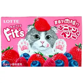 Резинка жевательная FIT`S Funny & Berry со вкусом ягод, Lotte картинка 400888 - МосИгра