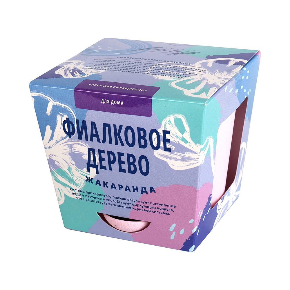 Набор для выращивания фиалкового дерева